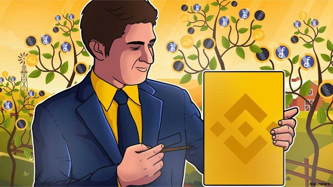 What is Binance Exchange Token Staking