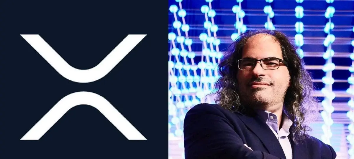 Xrp Scam Wave Surges As David Schwartz Issues Warning