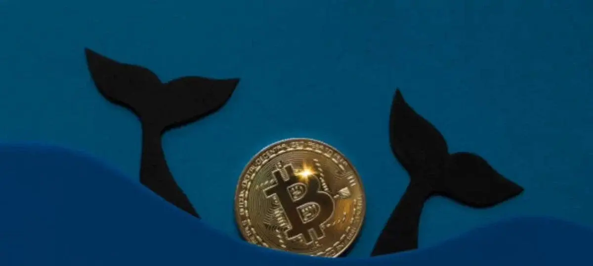 Whales Are Moving Bitcoin