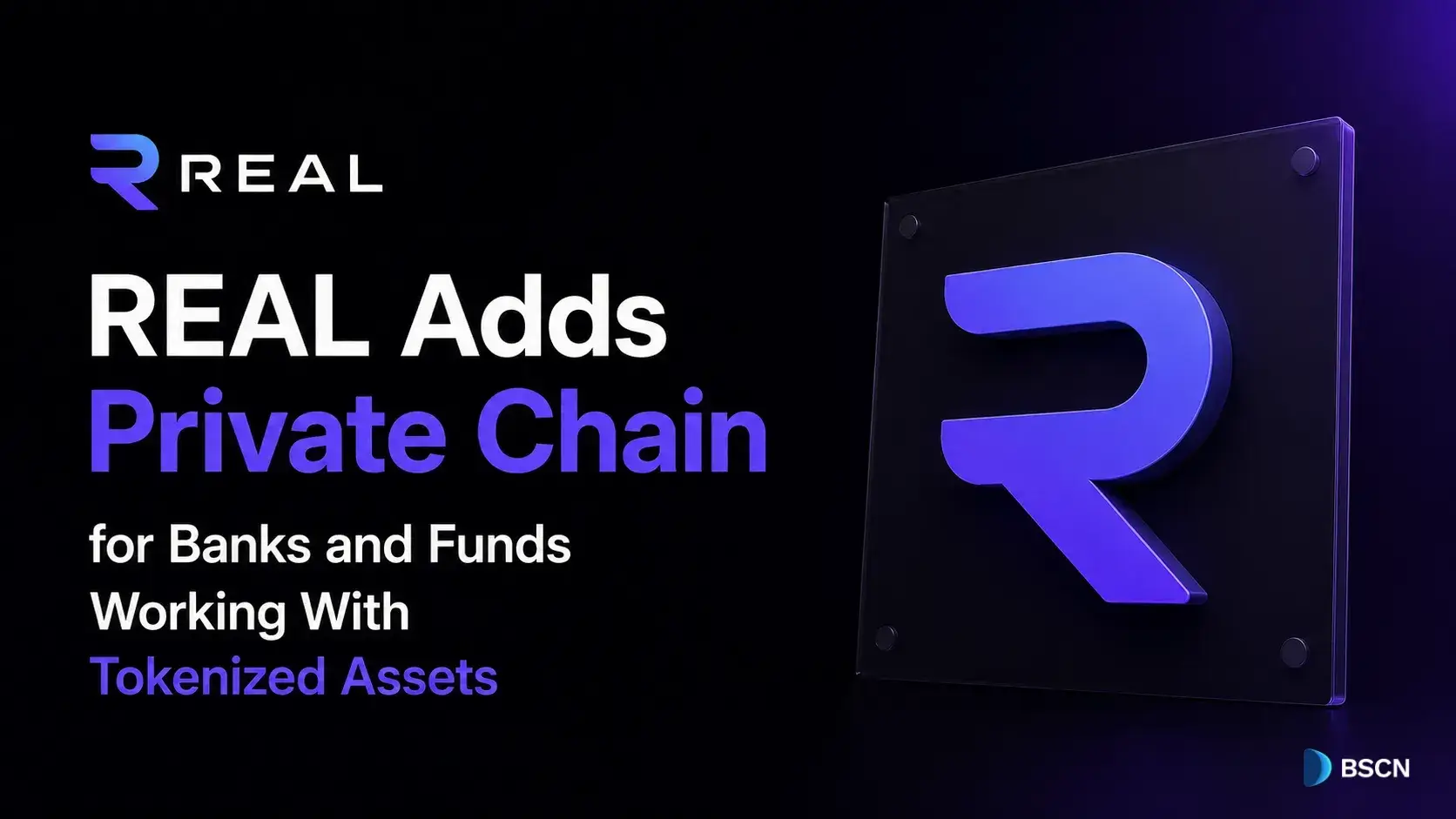REAL Adds Private Chain for Banks and Funds Working With Tokenized Assets