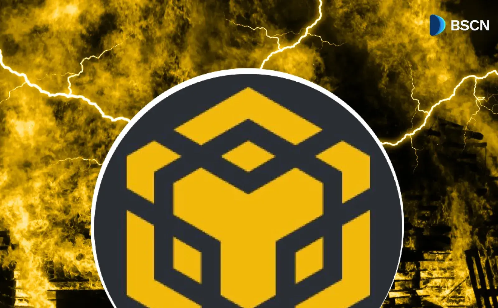 BNB's Surge in 2025: Yield, Adoption, and Performance Metrics