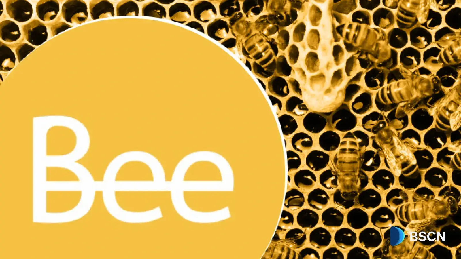 What to Expect from Bee Network in 2026