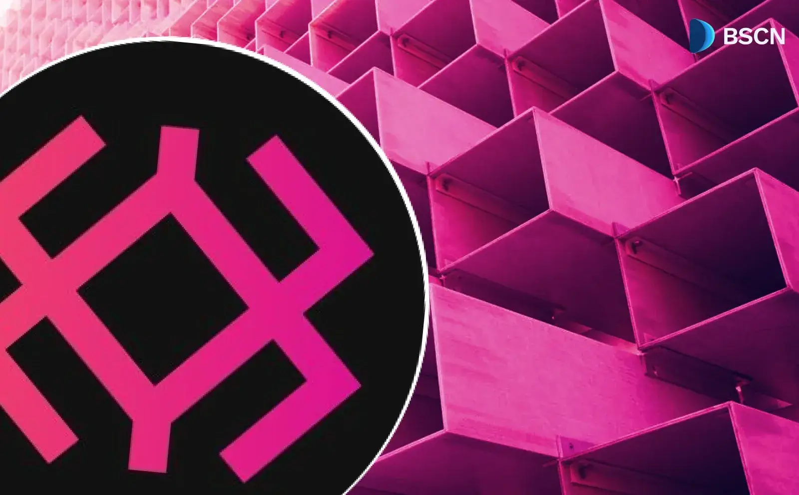 Everything We Know About Immunefi’s IMU Token