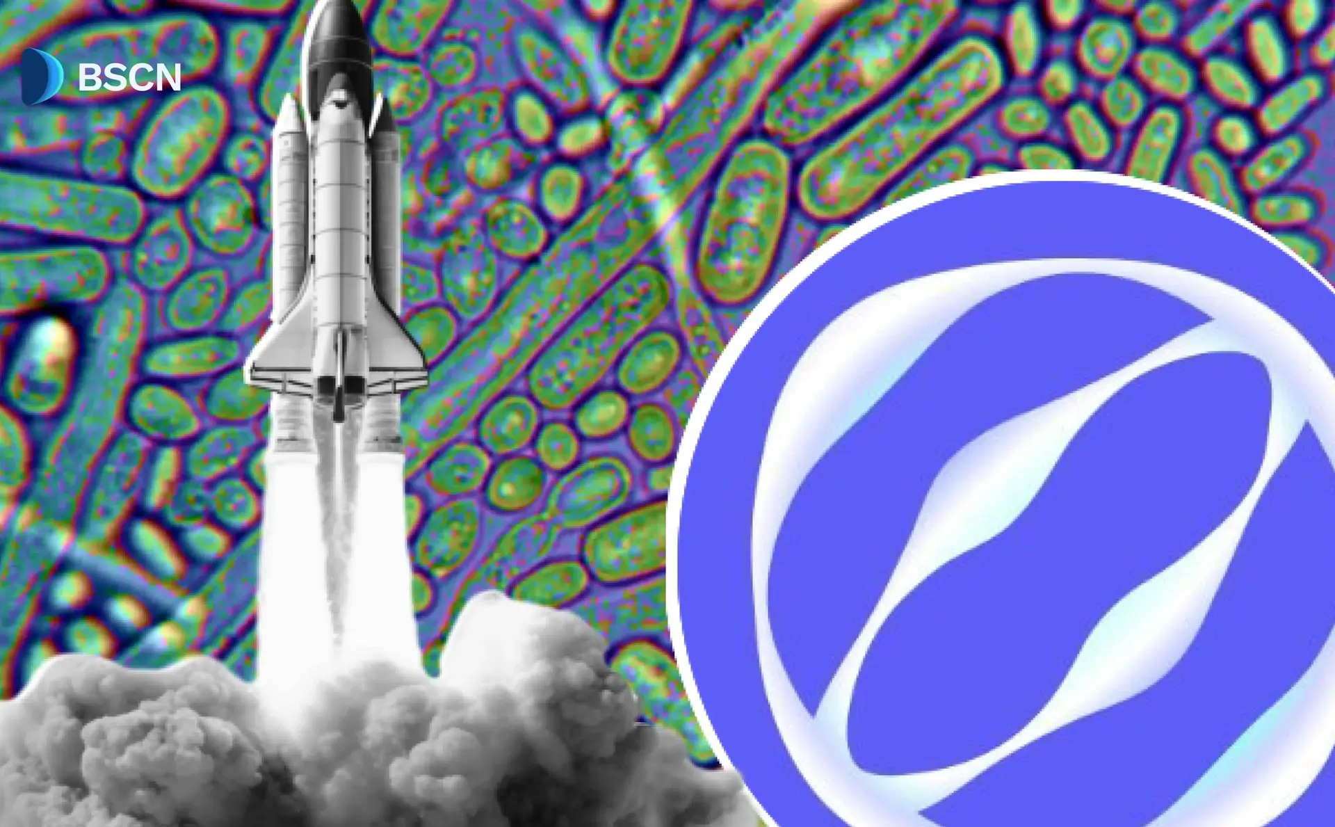 Exploring Mitosis: The Blockchain Network for Programmable Liquidity in DeFi