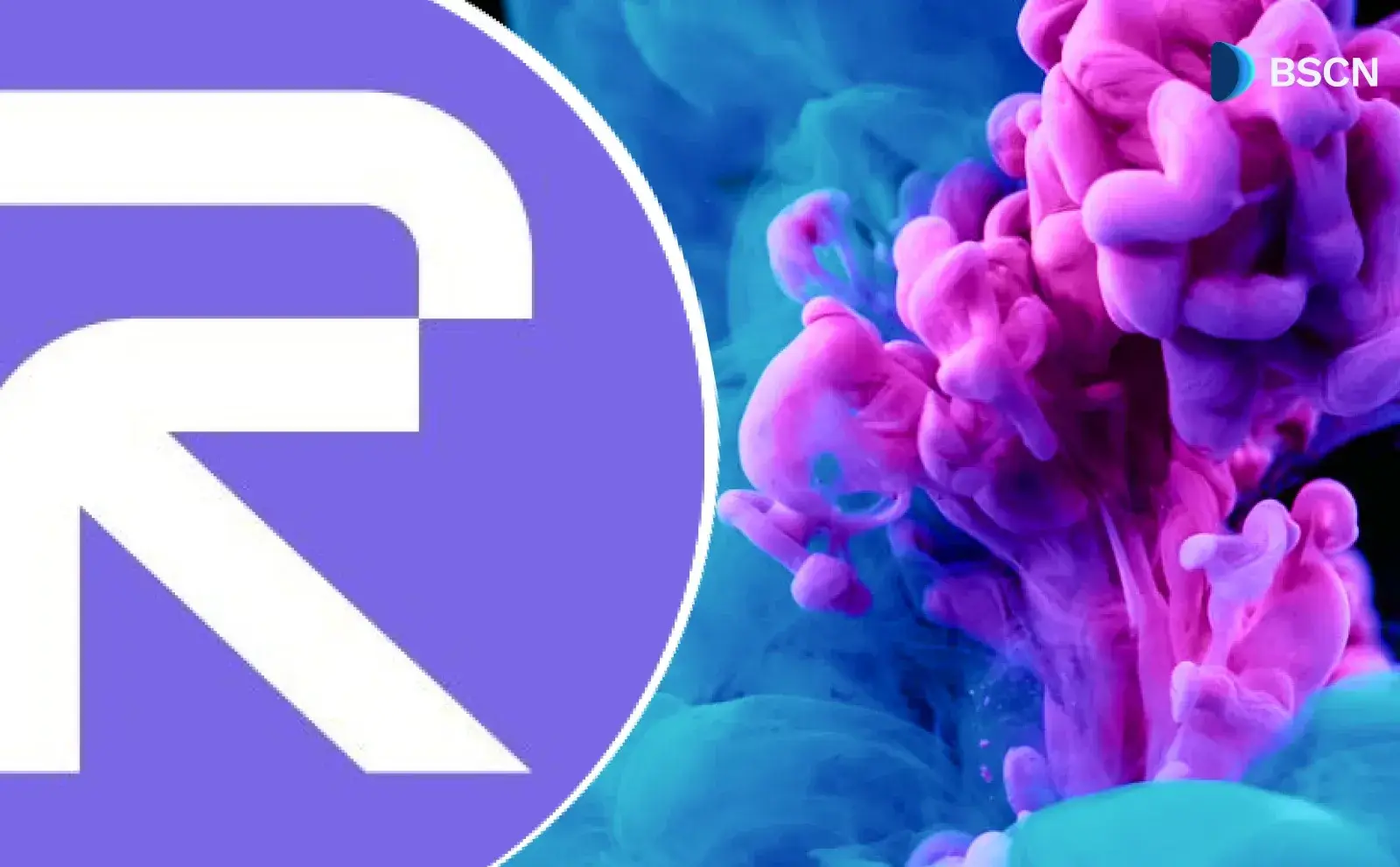 Rise Reveals New Ecosystem Vision: What Does it Mean?