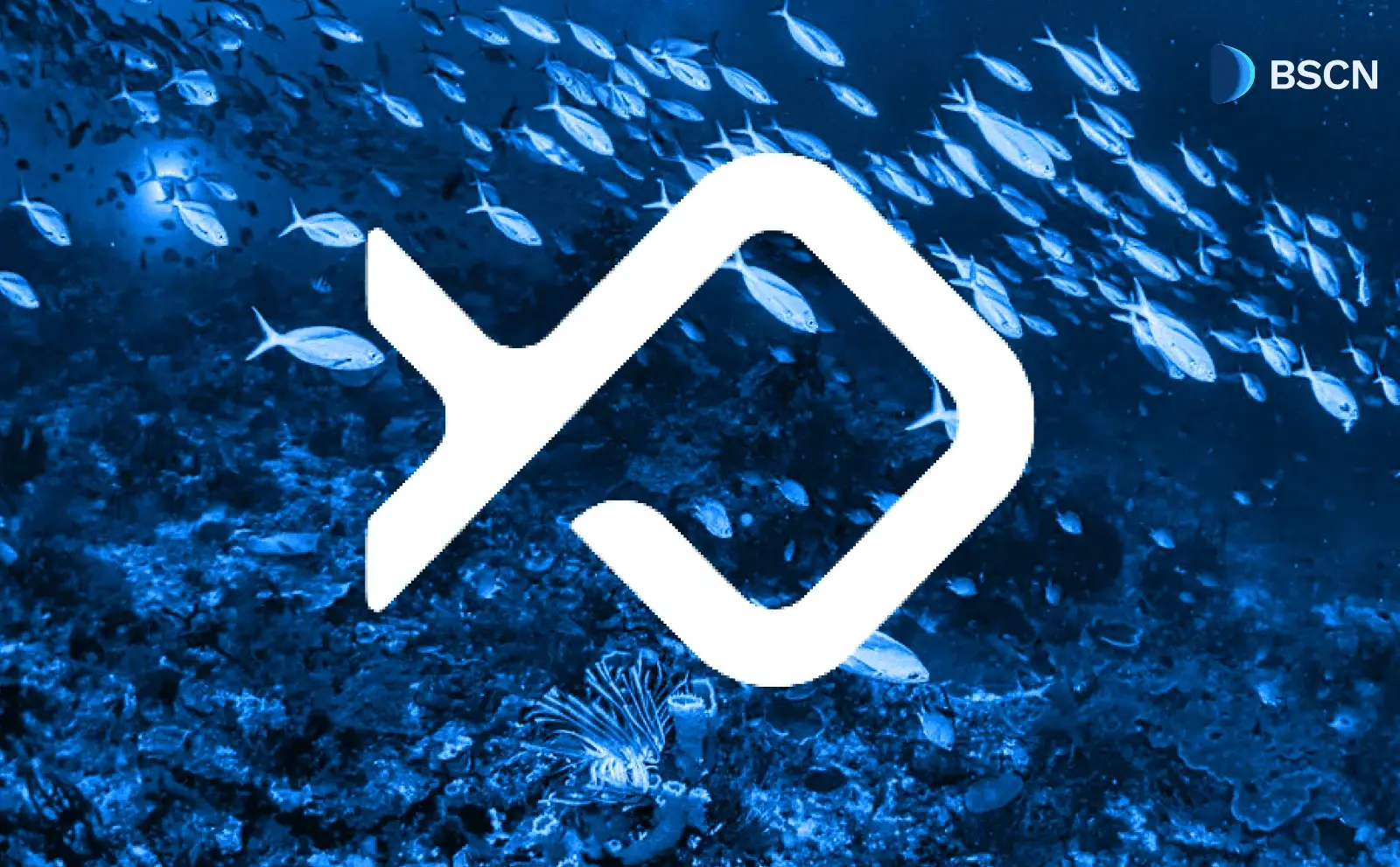 What is Bluefin on Sui Network & How Does It Work?