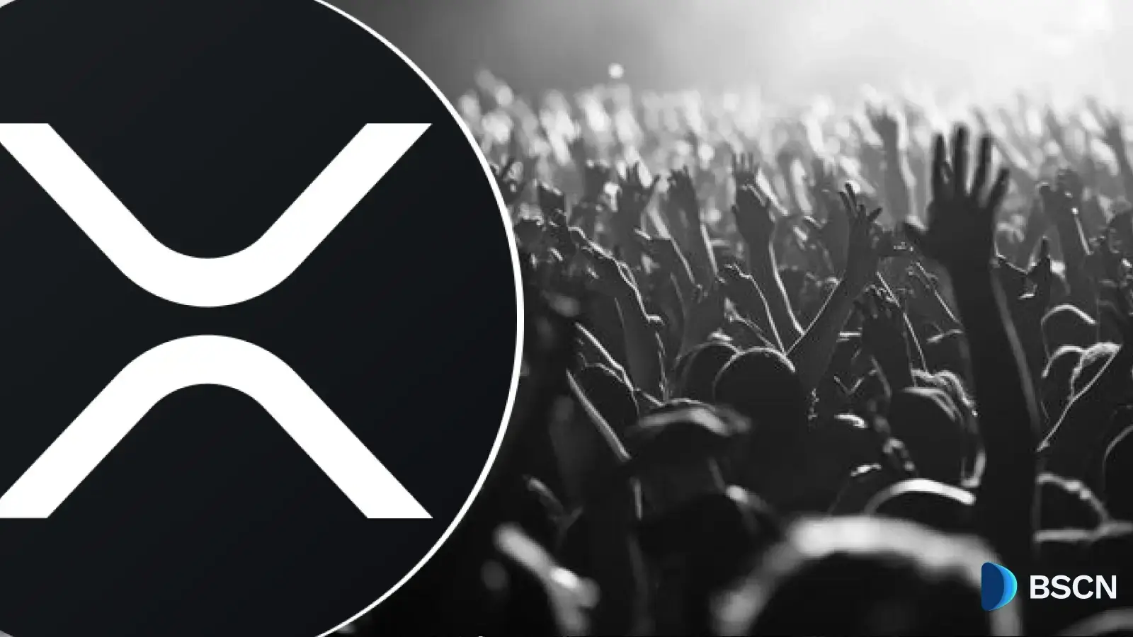 XRP Ledger Hits 7.7M Holders for the First Time in 13 Years